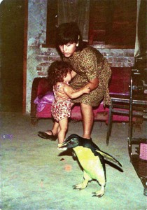Penguin